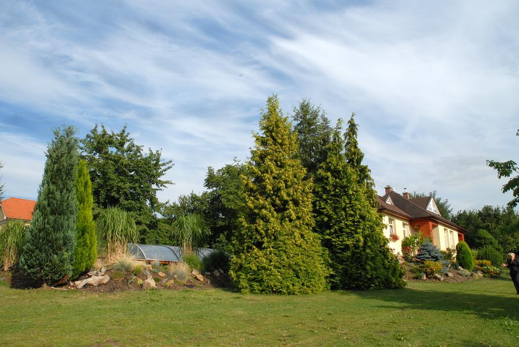Ubytovani Vila Sobotka Bagian luar foto